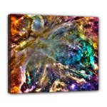 Colorful Cosmos Deluxe Canvas 24  x 20  (Stretched)