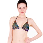 Colorful Cosmos Bikini Top