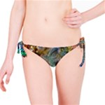 Colorful Cosmos Bikini Bottom