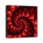 Red Glossy Fractal Spiral Mini Canvas 6  x 6  (Stretched)