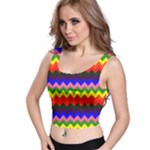 Rainbow Chevron Crop Top