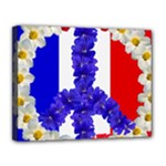 Peace sign paris france Canvas 14  x 11  (Stretched)