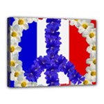 Peace sign paris france Canvas 16  x 12  (Stretched)