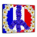 Peace sign paris france Canvas 24  x 20  (Stretched)