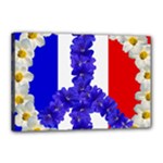 Peace sign paris france Canvas 18  x 12  (Stretched)