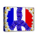 Peace sign paris france Deluxe Canvas 14  x 11  (Stretched)