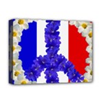 Peace sign paris france Deluxe Canvas 16  x 12  (Stretched) 