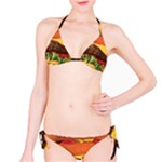 hipster Burger Bikini Set