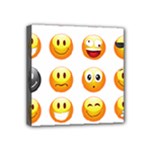 Smilies Emoji Mini Canvas 4  x 4  (Stretched)