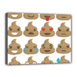 poop Emoji Canvas 16  x 12  (Stretched)