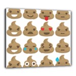 poop Emoji Canvas 24  x 20  (Stretched)