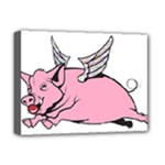 Flying Pig Deluxe Canvas 16  x 12  (Stretched) 