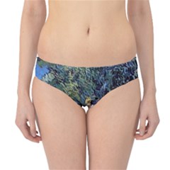 Hipster Bikini Bottoms 