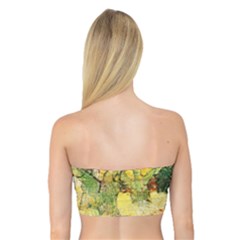 Bandeau Top 