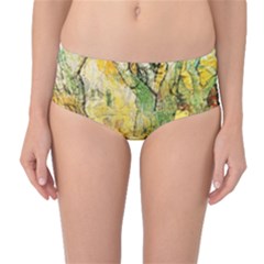 Mid-Waist Bikini Bottoms 