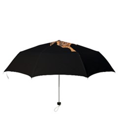 Folding Umbrella 