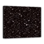 black white Stars Canvas 20  x 16  (Stretched)