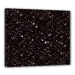 black white Stars Canvas 24  x 20  (Stretched)