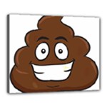 Emoji Poop Canvas 20  x 16  (Stretched)