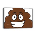 Emoji Poop Deluxe Canvas 18  x 12  (Stretched)