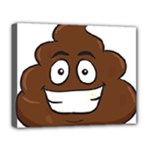 Emoji Poop Deluxe Canvas 20  x 16  (Stretched)