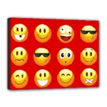 Red Emoji Canvas 16  x 12  (Stretched)