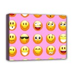 pastel pink Emoji  Deluxe Canvas 16  x 12  (Stretched) 