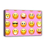 pastel pink Emoji  Deluxe Canvas 18  x 12  (Stretched)