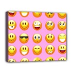 pastel pink Emoji  Deluxe Canvas 20  x 16  (Stretched)