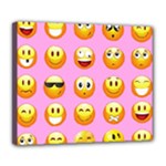 pastel pink Emoji  Deluxe Canvas 24  x 20  (Stretched)