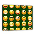 hunter green Emoji Canvas 20  x 16  (Stretched)