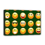 hunter green Emoji Deluxe Canvas 18  x 12  (Stretched)