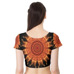 Short Sleeve Crop Top 