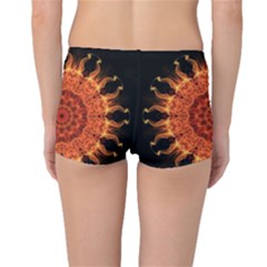 Boyleg Bikini Bottoms Back