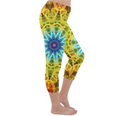 Capri Winter Leggings  