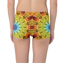 Boyleg Bikini Bottoms Back