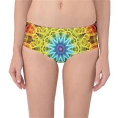 Mid-Waist Bikini Bottoms 