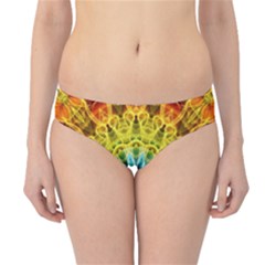 Hipster Bikini Bottoms 