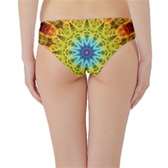 Hipster Bikini Bottoms 