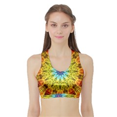 Sports Bra with Border 