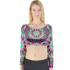 Long Sleeve Crop Top 