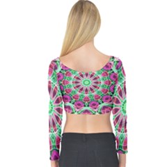 Long Sleeve Crop Top 