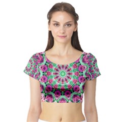 Short Sleeve Crop Top 