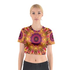 Gemstone Dream Cotton Crop Top from ArtsNow.com