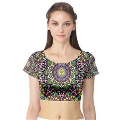 Short Sleeve Crop Top 