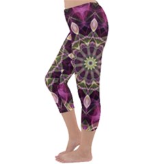 Capri Winter Leggings  Back