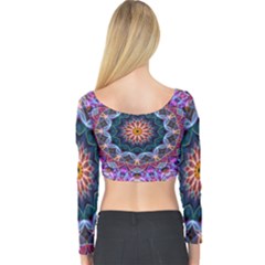 Long Sleeve Crop Top 