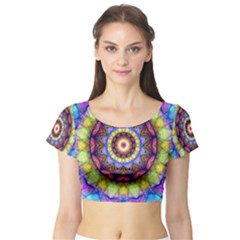 Short Sleeve Crop Top 