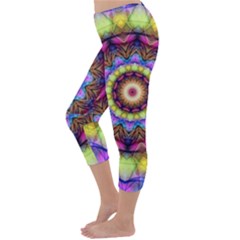 Capri Winter Leggings  Back