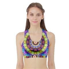 Sports Bra with Border 